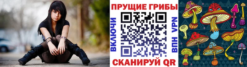 Псилоцибиновые грибы мухоморы  купить наркоту  Межгорье 